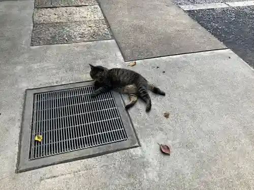 所澤神明社(埼玉県)