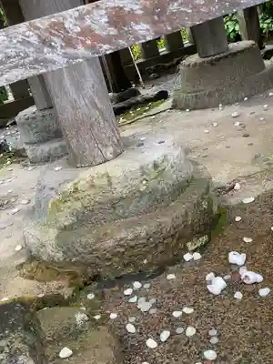 白兎神社(鳥取県)