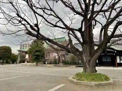 吉祥寺(東京都)
