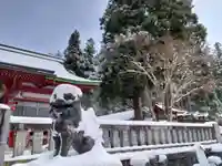 遠野郷八幡宮の狛犬