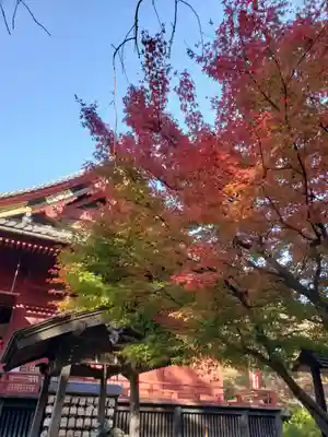 清水観音堂(東京都)