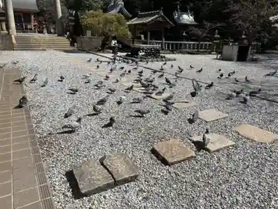 早吸日女神社(大分県)