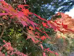 白山神社（長滝神社・白山長瀧神社・長滝白山神社）の自然