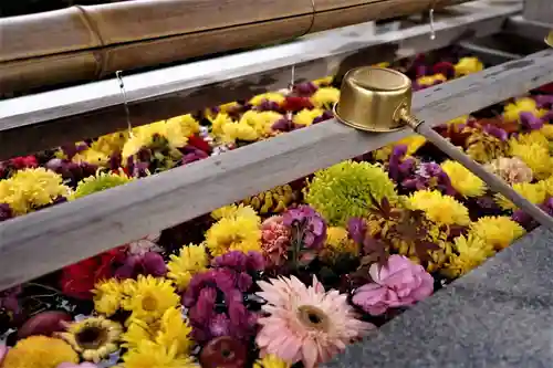 豊景神社の手水