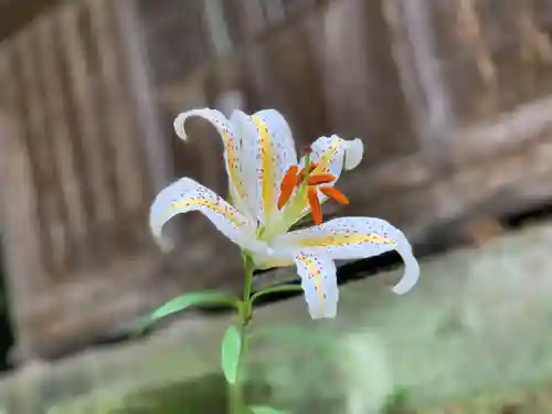 八幡神社の自然