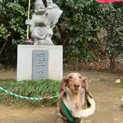 富岡八幡宮(神奈川県)