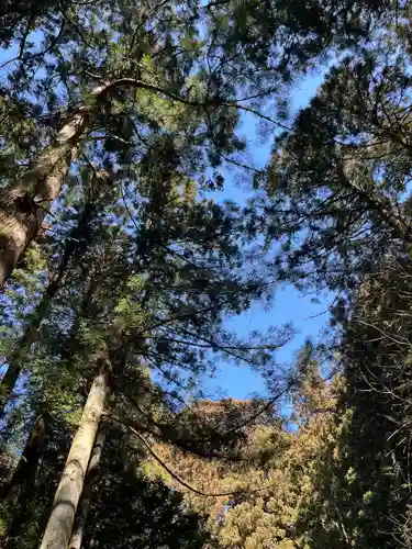 赤城神社(三夜沢町)(群馬県)