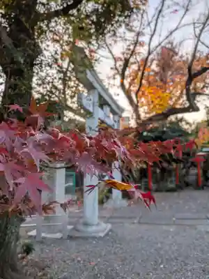 本郷氷川神社(東京都)