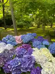 勝林寺(京都府)