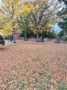 厚別神社(北海道)(2023年11月02日(木) 09時33分19秒投稿)