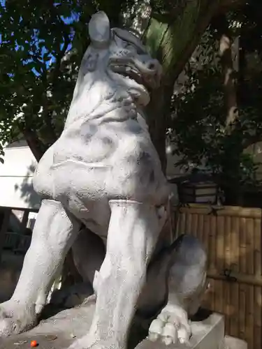 鳥越神社の狛犬