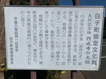 円成寺(千葉県)