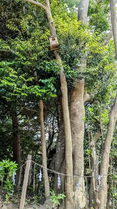 検見川神社の自然