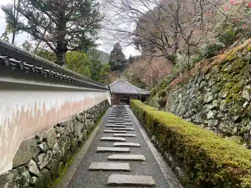 善峯寺(京都府)
