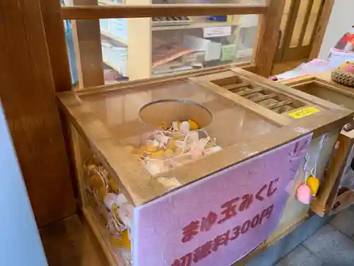 小網神社のおみくじ