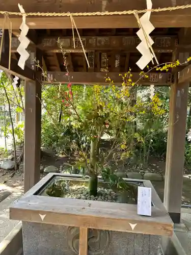 赤坂氷川神社(東京都)