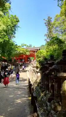 春日大社(奈良県)