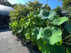 伊勢の国 四天王寺(三重県)