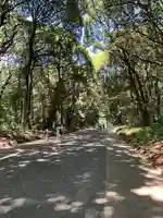 明治神宮(東京都)