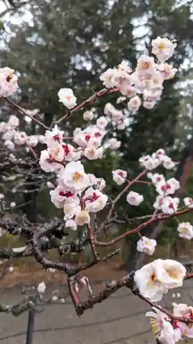 長岡天満宮の自然