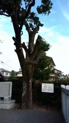 五社神社のその他建物
