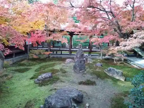 建仁寺（建仁禅寺）の庭園