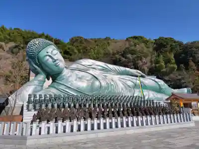 南蔵院の{uncategorized: "未分類", other: "その他", undefined: "問題あり", building: "その他建物", grave: "お墓", sacred_gate: "鳥居", guardian: "狛犬", statue: "像", buddha: "仏像", history: "歴史", nature: "自然", garden: "庭園", animal: "動物", pagoda: "塔", temizu: "手水舎", mountain_gate: "山門・神門", sanctuary: "本殿・本堂", subordinate: "末社・摂社", art: "芸術", scenery: "景色", jizo: "地蔵", ema: "絵馬", goshuin: "御朱印", omikuji: "おみくじ", items: "授与品その他", amulet: "お守り", goshuincho: "御朱印帳", eats: "食事", festival: "お祭り", votive_dance: "神楽", shichigosan: "七五三参", wedding: "結婚式", experience: "体験その他", initially: "初詣", around: "周辺", anti_infection: "感染症対策"}