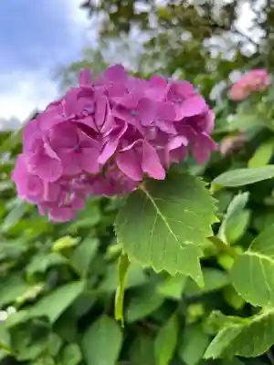 熊野那智大社(和歌山県)