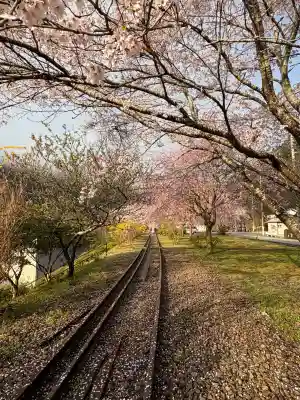 船場八幡神社の{uncategorized: "未分類", other: "その他", undefined: "問題あり", building: "その他建物", grave: "お墓", sacred_gate: "鳥居", guardian: "狛犬", statue: "像", buddha: "仏像", history: "歴史", nature: "自然", garden: "庭園", animal: "動物", pagoda: "塔", temizu: "手水舎", mountain_gate: "山門・神門", sanctuary: "本殿・本堂", subordinate: "末社・摂社", art: "芸術", scenery: "景色", jizo: "地蔵", ema: "絵馬", goshuin: "御朱印", omikuji: "おみくじ", items: "授与品その他", amulet: "お守り", goshuincho: "御朱印帳", eats: "食事", festival: "お祭り", votive_dance: "神楽", shichigosan: "七五三参", wedding: "結婚式", experience: "体験その他", initially: "初詣", around: "周辺", anti_infection: "感染症対策"}
