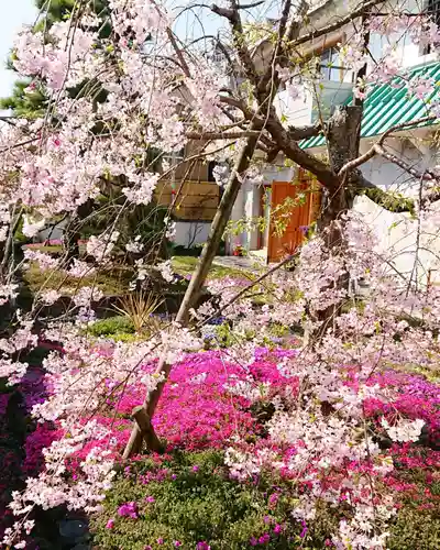 寿量山　速成寺の庭園