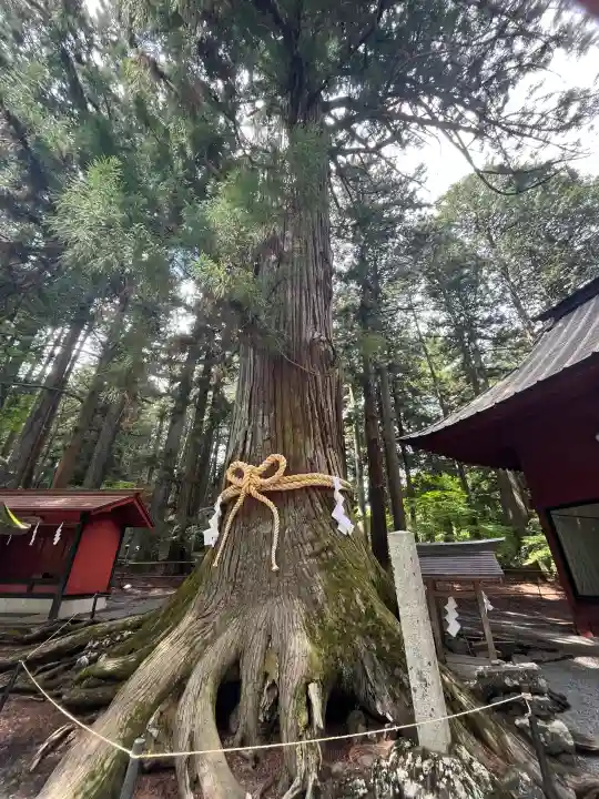 北口本宮冨士浅間神社の{uncategorized: "未分類", other: "その他", undefined: "問題あり", building: "その他建物", grave: "お墓", sacred_gate: "鳥居", guardian: "狛犬", statue: "像", buddha: "仏像", history: "歴史", nature: "自然", garden: "庭園", animal: "動物", pagoda: "塔", temizu: "手水舎", mountain_gate: "山門・神門", sanctuary: "本殿・本堂", subordinate: "末社・摂社", art: "芸術", scenery: "景色", jizo: "地蔵", ema: "絵馬", goshuin: "御朱印", omikuji: "おみくじ", items: "授与品その他", amulet: "お守り", goshuincho: "御朱印帳", eats: "食事", festival: "お祭り", votive_dance: "神楽", shichigosan: "七五三参", wedding: "結婚式", experience: "体験その他", initially: "初詣", around: "周辺", anti_infection: "感染症対策"}