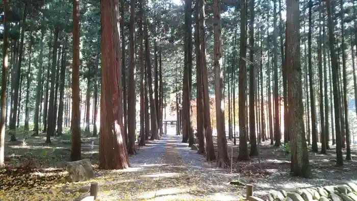 青玉神社の建物その他