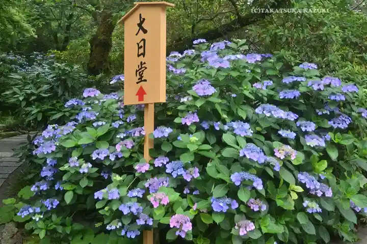 高幡不動尊 金剛寺(東京都)