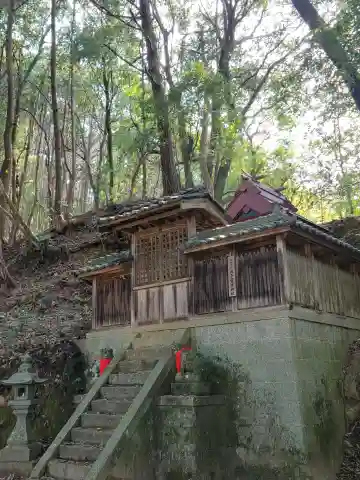 波多甕井神社の{uncategorized: "未分類", other: "その他", undefined: "問題あり", building: "その他建物", grave: "お墓", sacred_gate: "鳥居", guardian: "狛犬", statue: "像", buddha: "仏像", history: "歴史", nature: "自然", garden: "庭園", animal: "動物", pagoda: "塔", temizu: "手水舎", mountain_gate: "山門・神門", sanctuary: "本殿・本堂", subordinate: "末社・摂社", art: "芸術", scenery: "景色", jizo: "地蔵", ema: "絵馬", goshuin: "御朱印", omikuji: "おみくじ", items: "授与品その他", amulet: "お守り", goshuincho: "御朱印帳", eats: "食事", festival: "お祭り", votive_dance: "神楽", shichigosan: "七五三参", wedding: "結婚式", experience: "体験その他", initially: "初詣", around: "周辺", anti_infection: "感染症対策"}