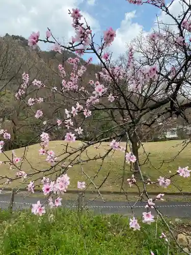 岩戸弘法弘峰寺の自然