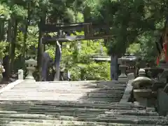 愛宕神社の鳥居