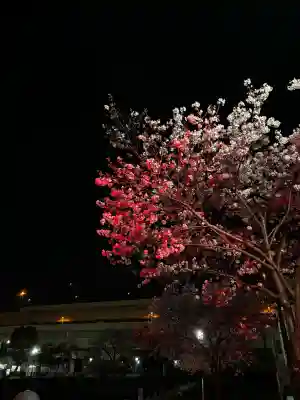 お三の宮日枝神社の{uncategorized: "未分類", other: "その他", undefined: "問題あり", building: "その他建物", grave: "お墓", sacred_gate: "鳥居", guardian: "狛犬", statue: "像", buddha: "仏像", history: "歴史", nature: "自然", garden: "庭園", animal: "動物", pagoda: "塔", temizu: "手水舎", mountain_gate: "山門・神門", sanctuary: "本殿・本堂", subordinate: "末社・摂社", art: "芸術", scenery: "景色", jizo: "地蔵", ema: "絵馬", goshuin: "御朱印", omikuji: "おみくじ", items: "授与品その他", amulet: "お守り", goshuincho: "御朱印帳", eats: "食事", festival: "お祭り", votive_dance: "神楽", shichigosan: "七五三参", wedding: "結婚式", experience: "体験その他", initially: "初詣", around: "周辺", anti_infection: "感染症対策"}