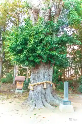 網場神社(宮城県)