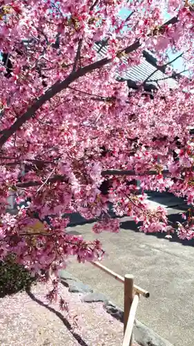 長徳寺(京都府)