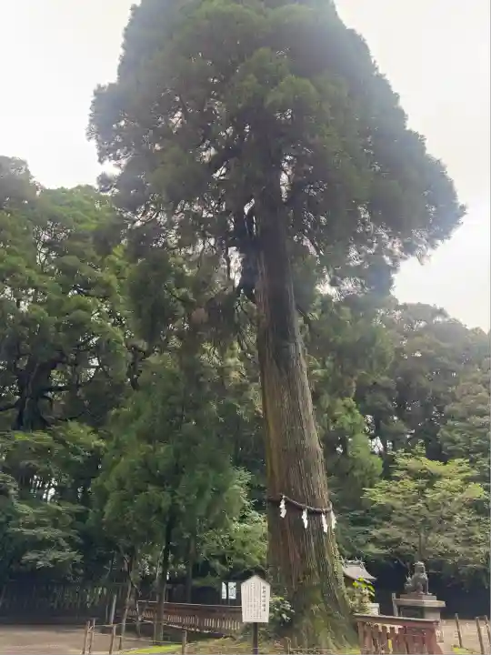 狭野神社(宮崎県)
