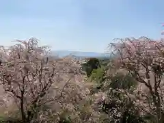  久延彦神社(奈良県)