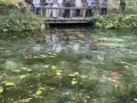 根道神社の{uncategorized: "未分類", other: "その他", undefined: "問題あり", building: "その他建物", grave: "お墓", sacred_gate: "鳥居", guardian: "狛犬", statue: "像", buddha: "仏像", history: "歴史", nature: "自然", garden: "庭園", animal: "動物", pagoda: "塔", temizu: "手水舎", mountain_gate: "山門・神門", sanctuary: "本殿・本堂", subordinate: "末社・摂社", art: "芸術", scenery: "景色", jizo: "地蔵", ema: "絵馬", goshuin: "御朱印", omikuji: "おみくじ", items: "授与品その他", amulet: "お守り", goshuincho: "御朱印帳", eats: "食事", festival: "お祭り", votive_dance: "神楽", shichigosan: "七五三参", wedding: "結婚式", experience: "体験その他", initially: "初詣", around: "周辺", anti_infection: "感染症対策"}