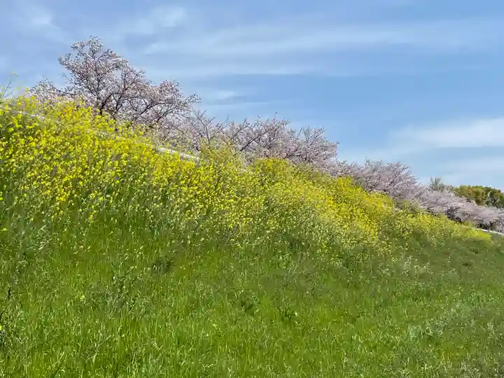 西瓜破天神社(大阪府)