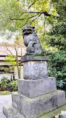 阿佐ヶ谷神明宮の狛犬