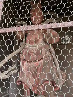 等覚院(神奈川県)