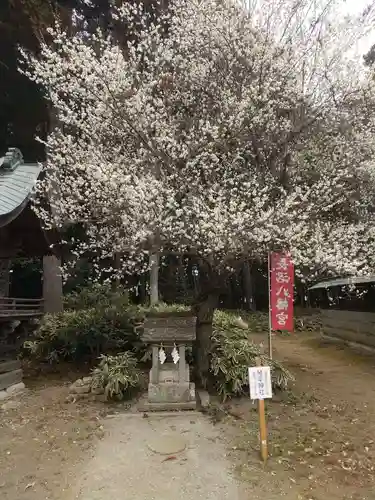 長沼八幡宮(栃木県)