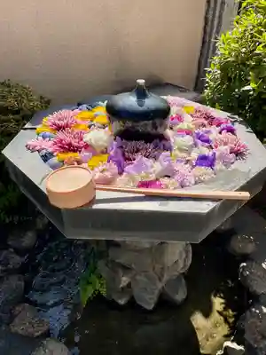 神楽坂安養寺(東京都)