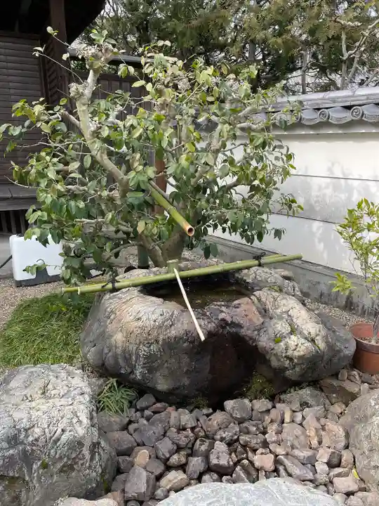 最勝院(京都府)