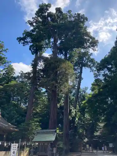 鹿島神宮(茨城県)