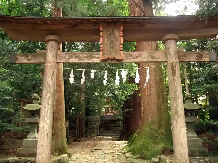 萩日吉神社(埼玉県)